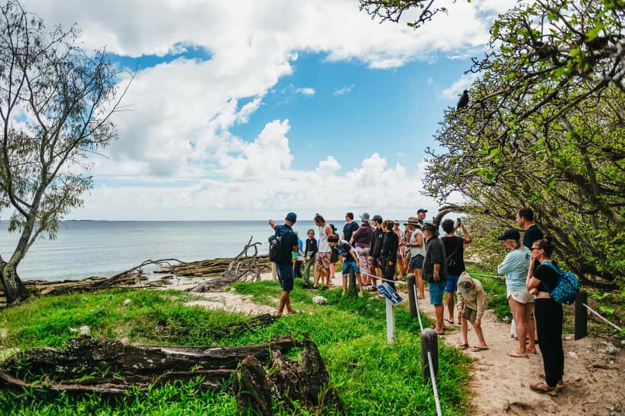 Bundaberg: Lady Musgrave Island and Great Barrier Reef Tour - From Burnett Heads to the reef