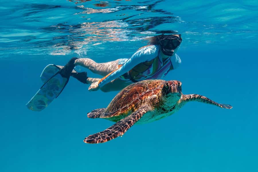 Bundaberg: Lady Musgrave Island and Great Barrier Reef Tour - Walking through Lady Musgrave Island