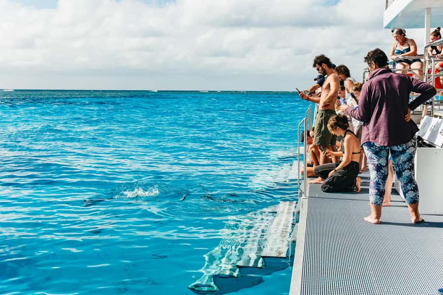 Bundaberg: Lady Musgrave Island and Great Barrier Reef Tour - Lunch, tea, and the practical comforts