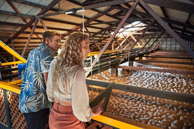 Bundaberg Rum Behind The Scenes Distillery Tour And Museum Experience - Start with the museum before the guided walk