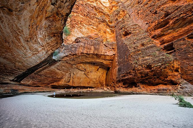 Bungle Bungle Scenic Flights, Domes & Cathedral Gorge Walk - Piccaninny Creek and the Beehive Domes