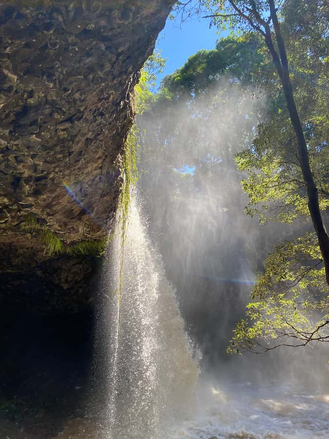 Byron Bay: Behind The Bay Waterfalls & Hidden Gems Day Tour - Key points to know before booking