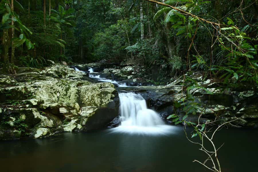 Byron Bay: Glowworms, Waterfalls & Rainforest Experience - Packing for wet paths and cool evenings