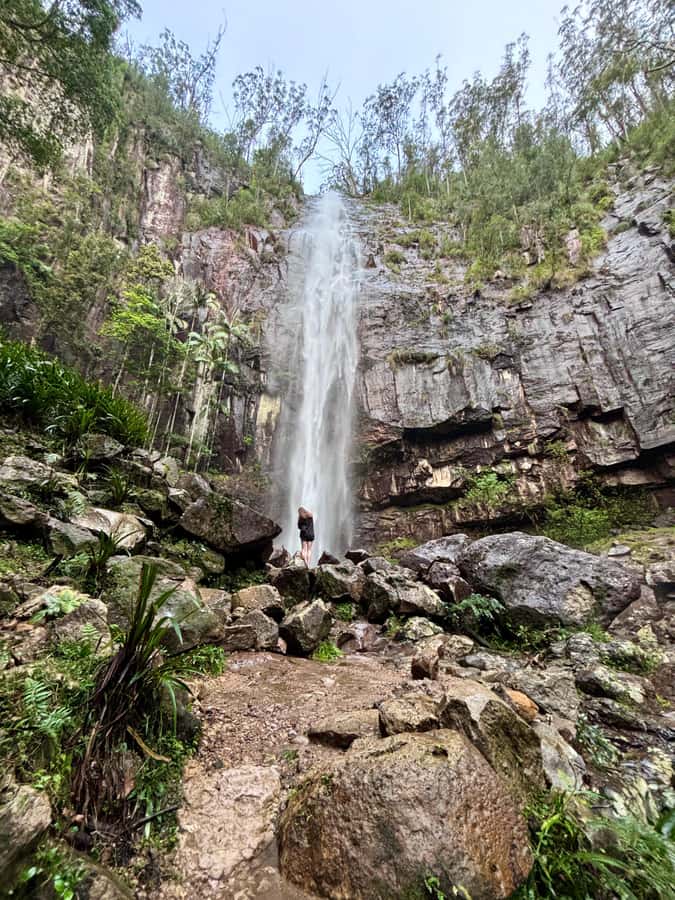 Byron Bay: Glowworms, Waterfalls & Rainforest Experience - A secret stop and the first forest walk