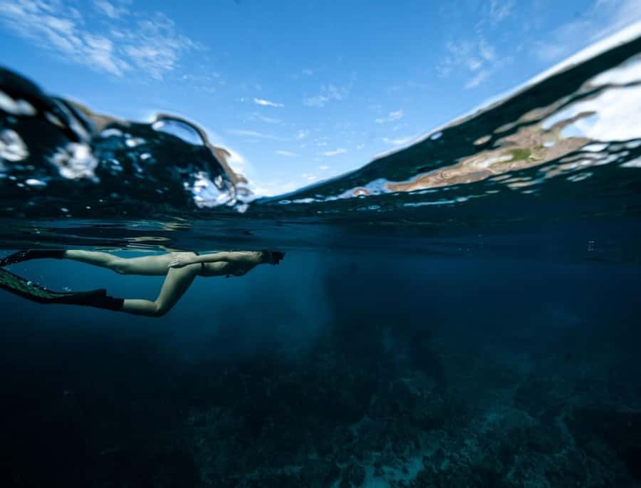 Byron Bay: Snorkeling Tour at Julian Rocks, Nguthungulli - Who will enjoy this tour most?