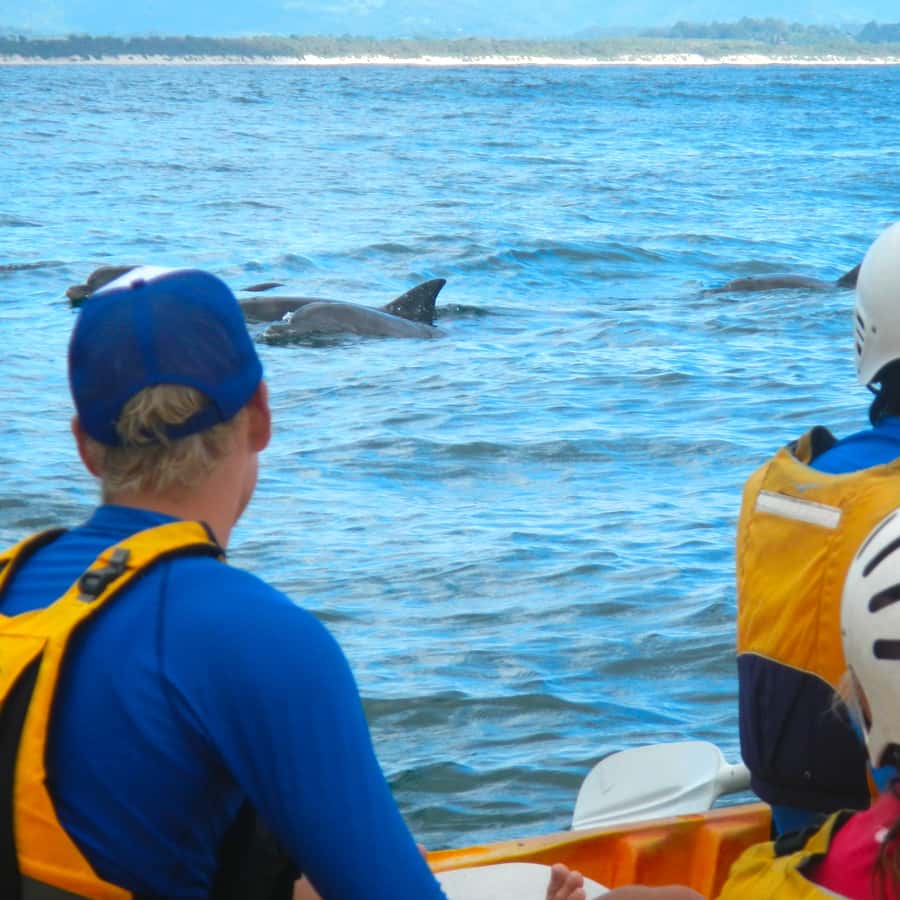 Byron Bay: The Byron Bay Sea Kayak Tour - Why kayaking Byron Bay feels different