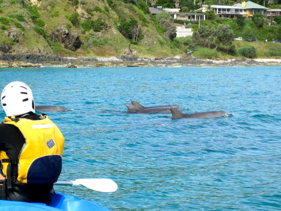 Byron Bay: The Byron Bay Sea Kayak Tour - Paddling through the Byron Bay marine reserve