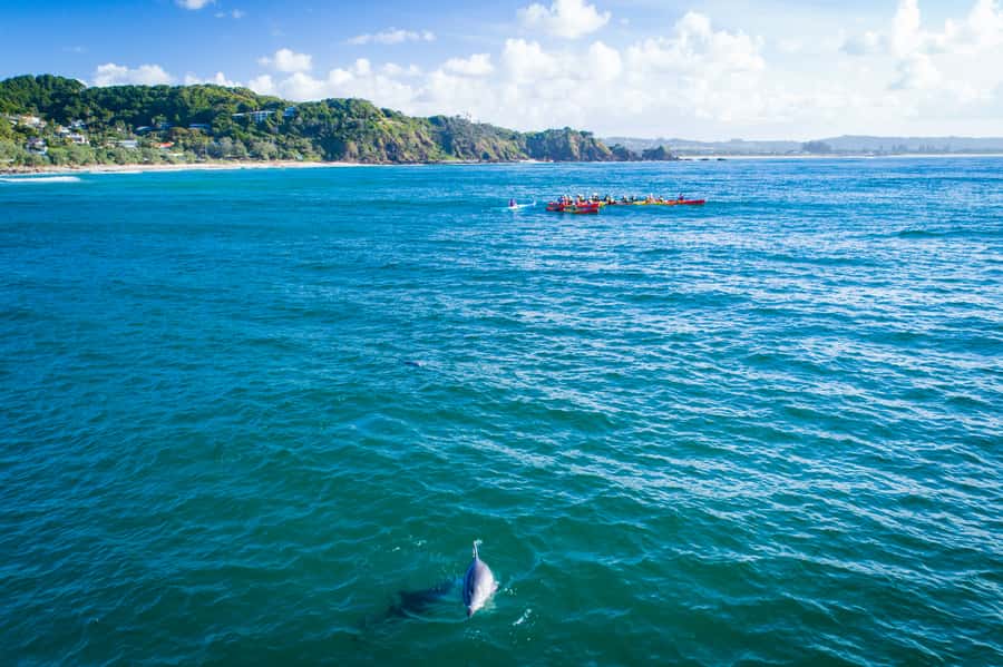 Byron Bay: The Byron Bay Sea Kayak Tour - Catching a wave back to shore