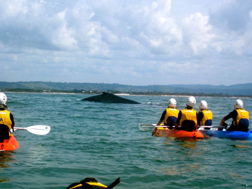 Byron Bay: The Byron Bay Sea Kayak Tour - How hard is the paddle?