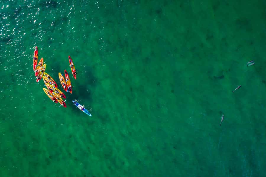 Byron Bay: The Byron Bay Sea Kayak Tour - Is $63 a fair price?