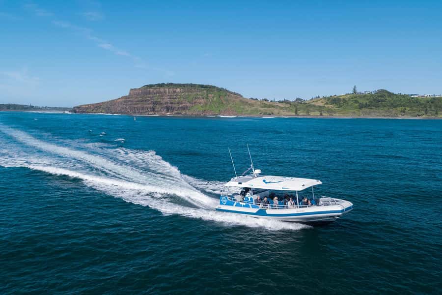 Byron Bay: Whale Watching Cruise with a Marine Biologist - What the 150-minute schedule feels like