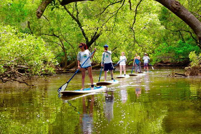 Byron Stand Up Paddle Nature Tour - Key points before you book