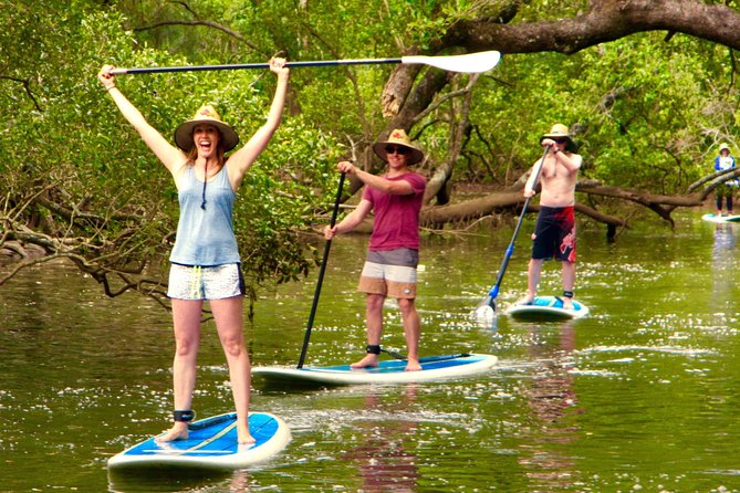 Byron Stand Up Paddle Nature Tour - Starting near Brunswick Heads