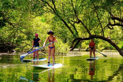 Byron Stand Up Paddle Nature Tour