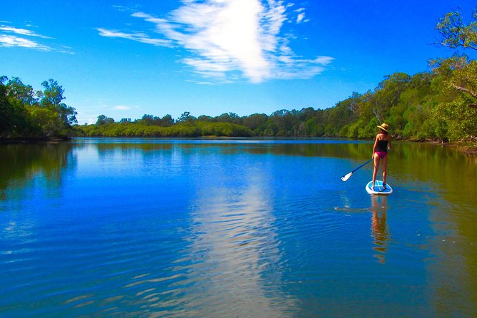 Byron Stand Up Paddle Nature Tour - The water stop and tunnel of trees