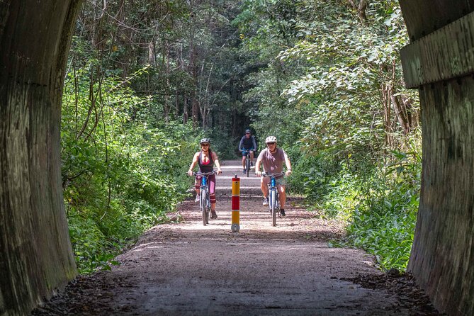 Byron Stand Up Paddle Nature Tour - How the guides shape the experience