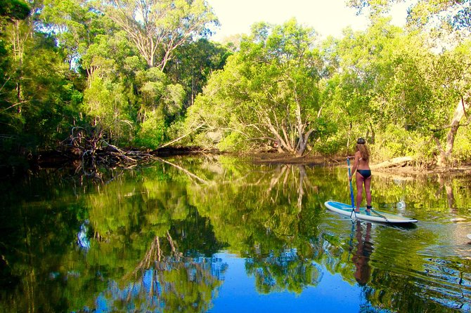 Byron Stand Up Paddle Nature Tour - Who will enjoy this two-hour outing