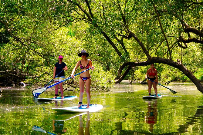 Byron Stand Up Paddle Nature Tour - The first lesson happens on land