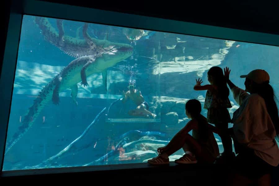 "Cage Of Death" Crocodile Swim and Entry to Crocosaurus Cove - Making the most of your time at Crocosaurus Cove