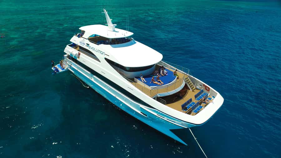 Cairns: 2-Day Great Barrier Reef & Daintree Rainforest Tour - Crocodiles and birdlife on the one-hour Daintree River cruise
