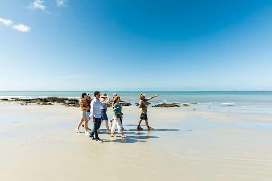 Cairns: 2-Day Great Barrier Reef & Daintree Rainforest Tour - Two snorkeling sites and a serious lunch spread