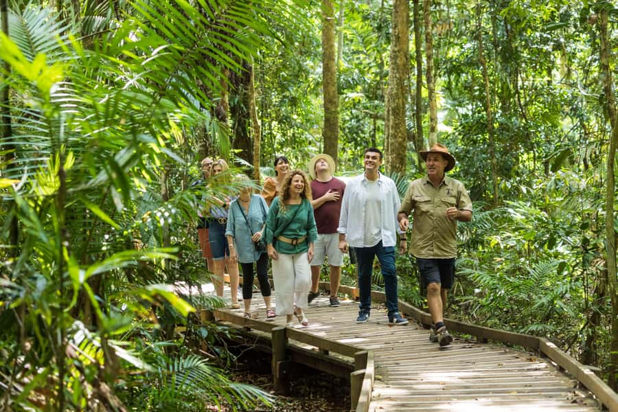 Cairns: 2-Day Great Barrier Reef & Daintree Rainforest Tour - The Daintree day starts with a long but worthwhile drive