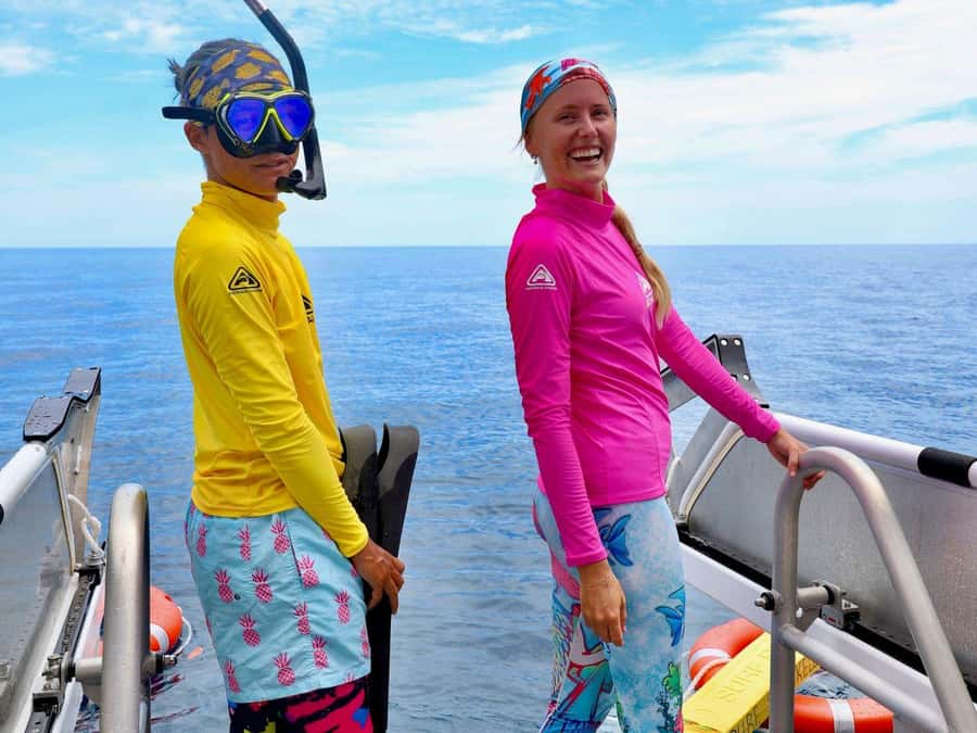 Cairns: All-Inclusive Great Barrier Reef Half-Day Snorkeling - Key points at a glance