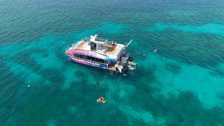 Cairns: All-Inclusive Great Barrier Reef Half-Day Snorkeling - Why this Cairns reef trip works as a half-day outing