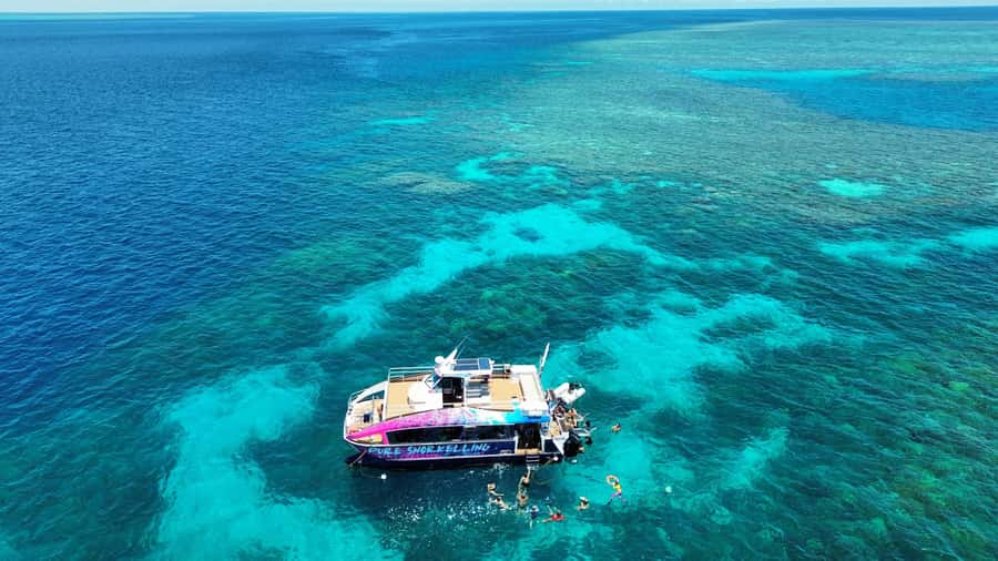 Cairns: All-Inclusive Great Barrier Reef Half-Day Snorkeling - A fast ride from Cairns to the Outer Reef
