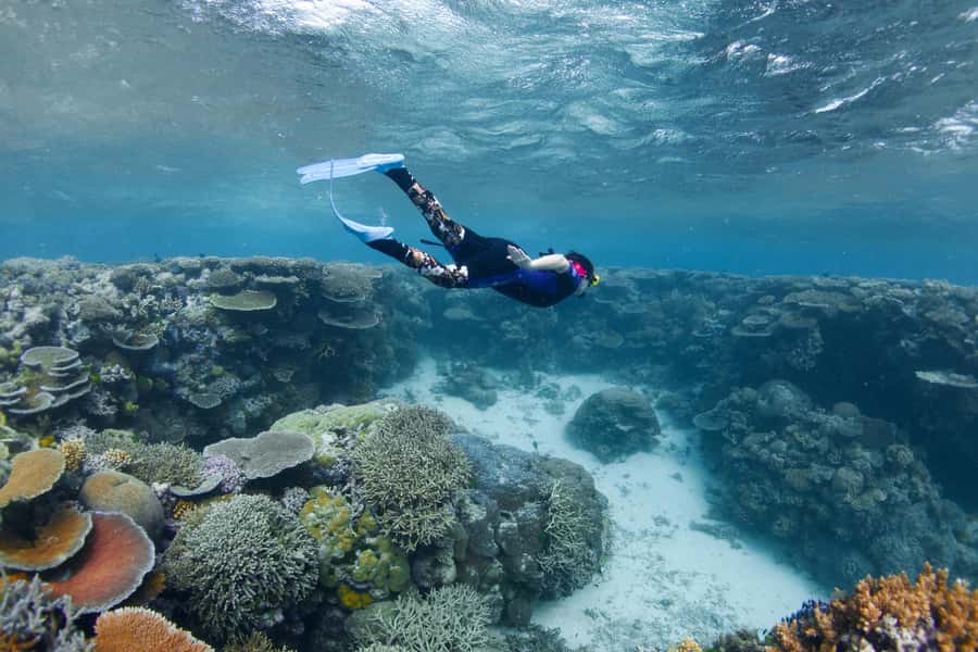 Cairns: All-Inclusive Great Barrier Reef Half-Day Snorkeling - Equipment, suits, and comfort on the boat