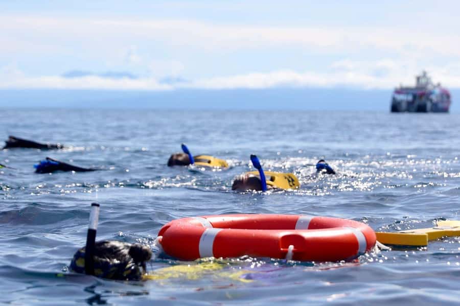 Cairns: All-Inclusive Great Barrier Reef Half-Day Snorkeling - Safety and the level of personal attention