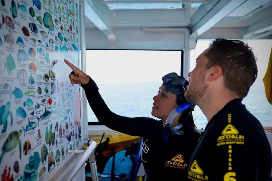 Cairns: All-Inclusive Great Barrier Reef Half-Day Snorkeling - Start at Marlin Marina with the 10:30 reef lesson
