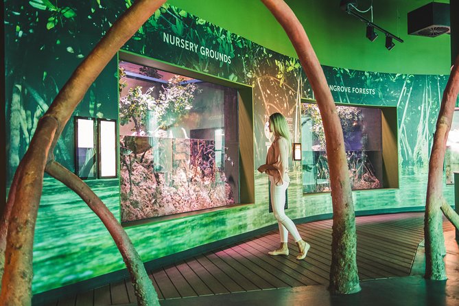 Cairns Aquarium Admission Ticket - Why Cairns Aquarium makes a smart rainy-day plan