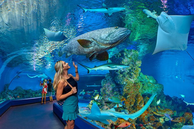 Cairns Aquarium Admission Ticket - Freshwater life and rainforest creatures