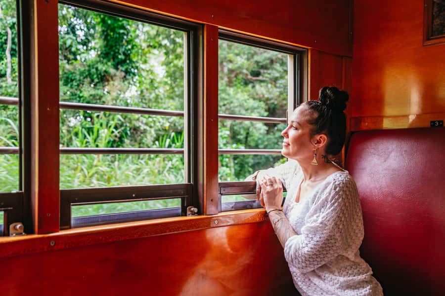 Cairns: Best of the Kuranda Rainforest Full-Day Tour & Lunch - What the $222 price really includes