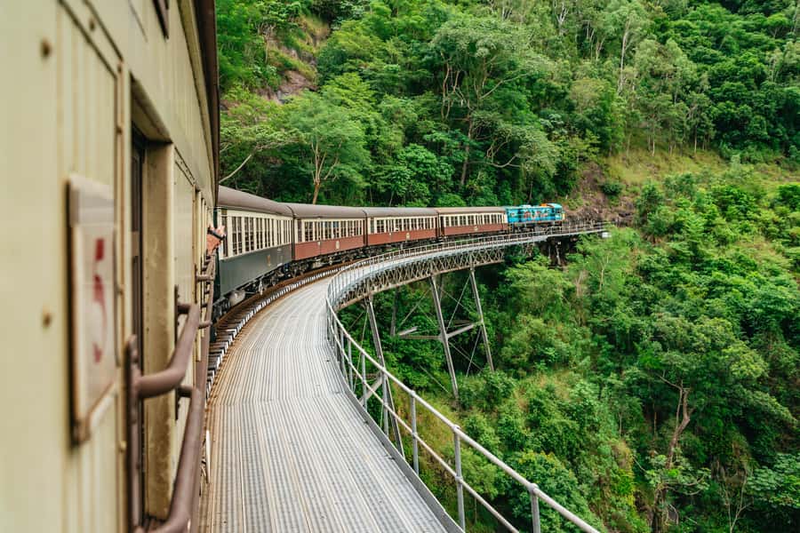 Cairns: Best of the Kuranda Rainforest Full-Day Tour & Lunch - Butterflies in a large rainforest aviary