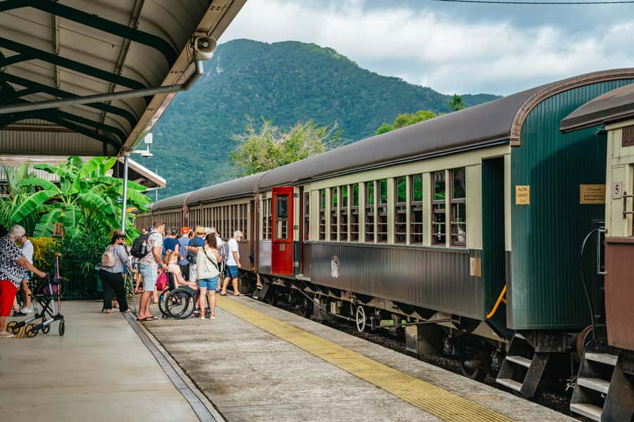 Cairns: Best of the Kuranda Rainforest Full-Day Tour & Lunch - Australian animals at close range