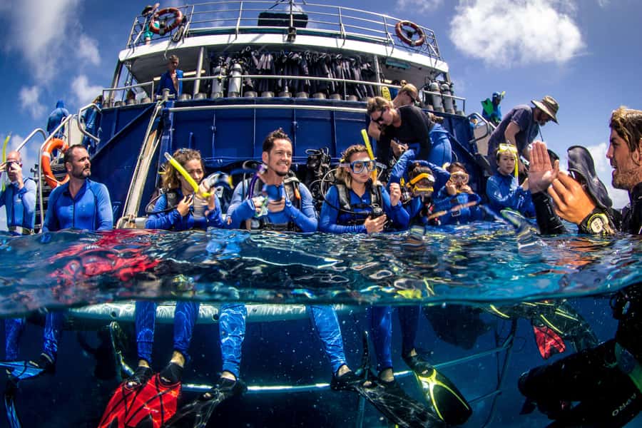 Cairns: Best Value All-inclusive Reef Trip With Scuba Dive - Key Things to Know Before You Book