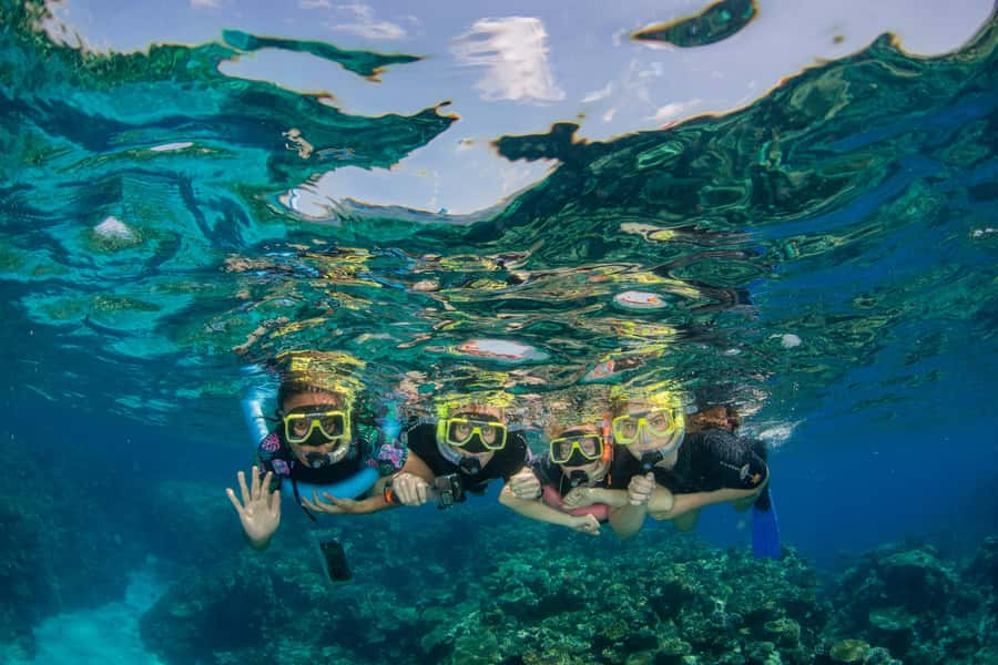 Cairns: Best Value All-inclusive Reef Trip With Scuba Dive - Settling In on the Reef Experience Catamaran