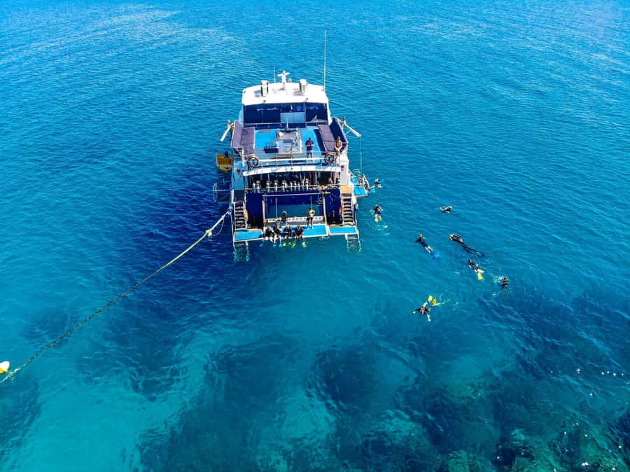 Cairns: Best Value All-inclusive Reef Trip With Scuba Dive - Snorkeling Around Coral and Fish