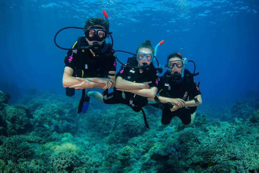 Cairns: Best Value All-inclusive Reef Trip With Scuba Dive - BBQ Lunch Between Reef Sessions