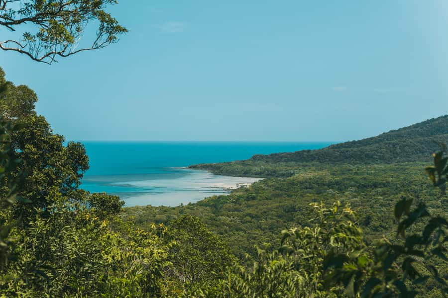 Cairns: Cape Tribulation & Daintree Rainforest Premium Tour - The Great Barrier Reef Drive and Port Douglas lookouts