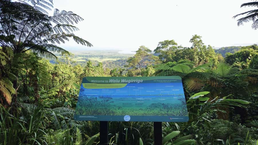 Cairns: Cape Tribulation, Mossman Gorge & Daintree Day Tour - Key points before you book