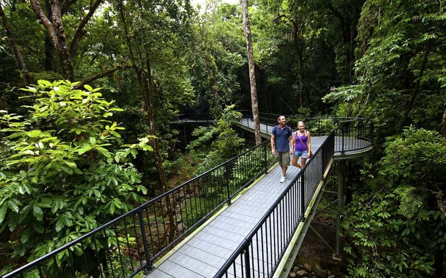 Cairns: Cape Tribulation, Mossman Gorge & Daintree Day Tour - A big northern day from Cairns