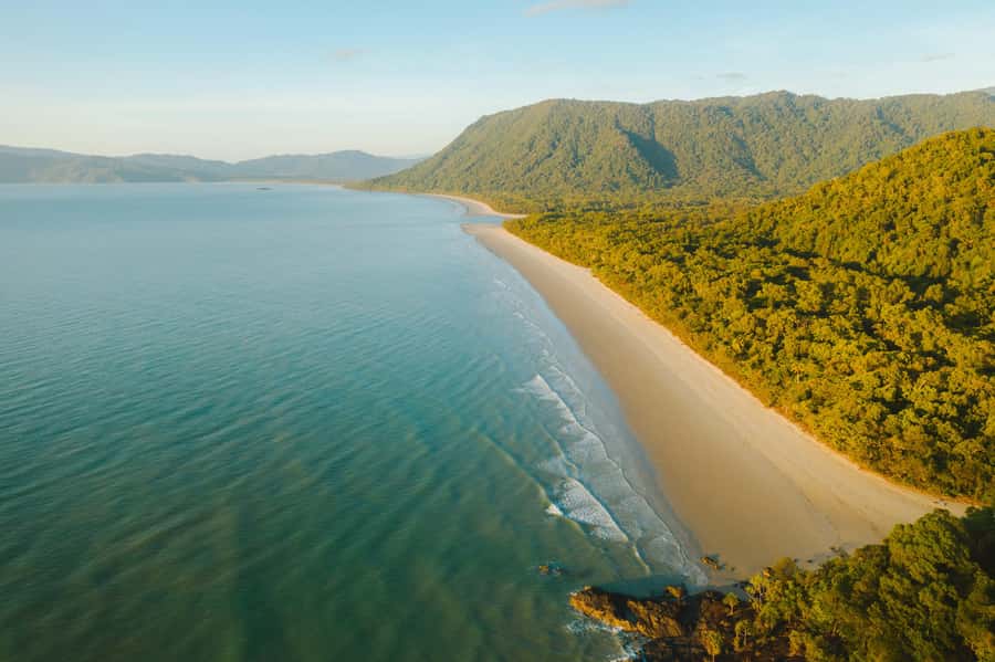Cairns: Cape Tribulation, Mossman Gorge & Daintree Day Tour - Mossman Gorge: scones, walking and a cold swim