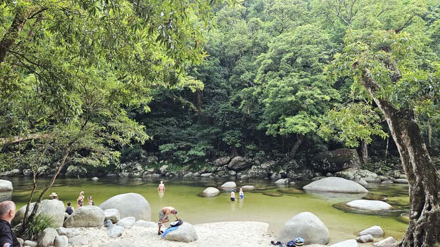 Cairns: Cape Tribulation, Mossman Gorge & Daintree Day Tour - Cape Tribulation Beach and Kulki Lookout
