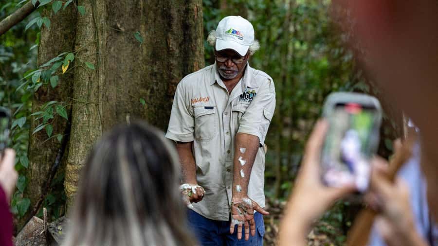 Cairns: Daintree Rainforest and Mossman Gorge Tour - Key things to know before you book