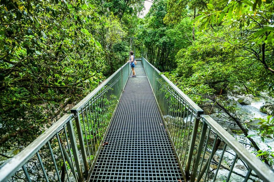 Cairns: Daintree Rainforest and Mossman Gorge Tour - Cape Tribulation and the meeting of rainforest and reef
