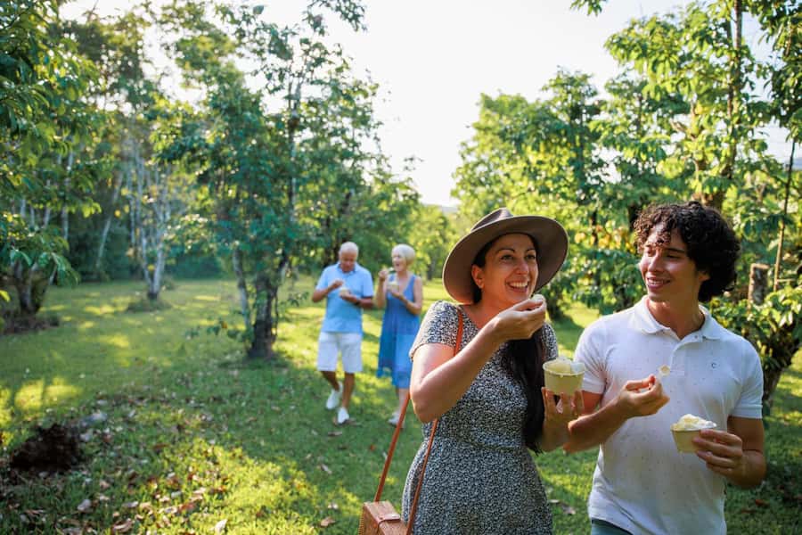 Cairns: Daintree Rainforest & Cape Tribulation Day Trip - Key points to know before booking