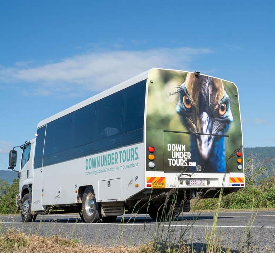 Cairns: Daintree Rainforest & Cape Tribulation Day Trip - Who should book this tour?